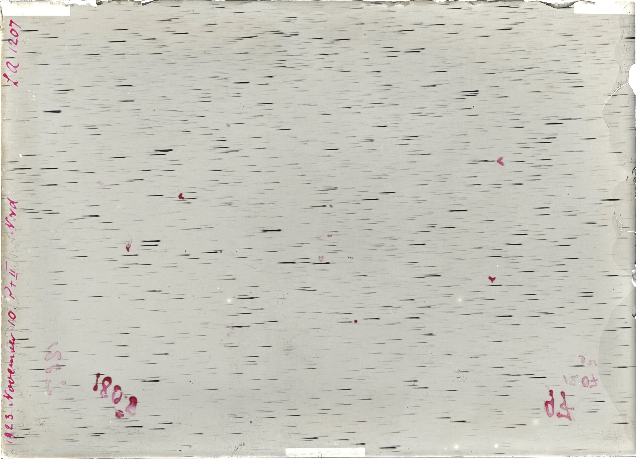 Scan LA01207