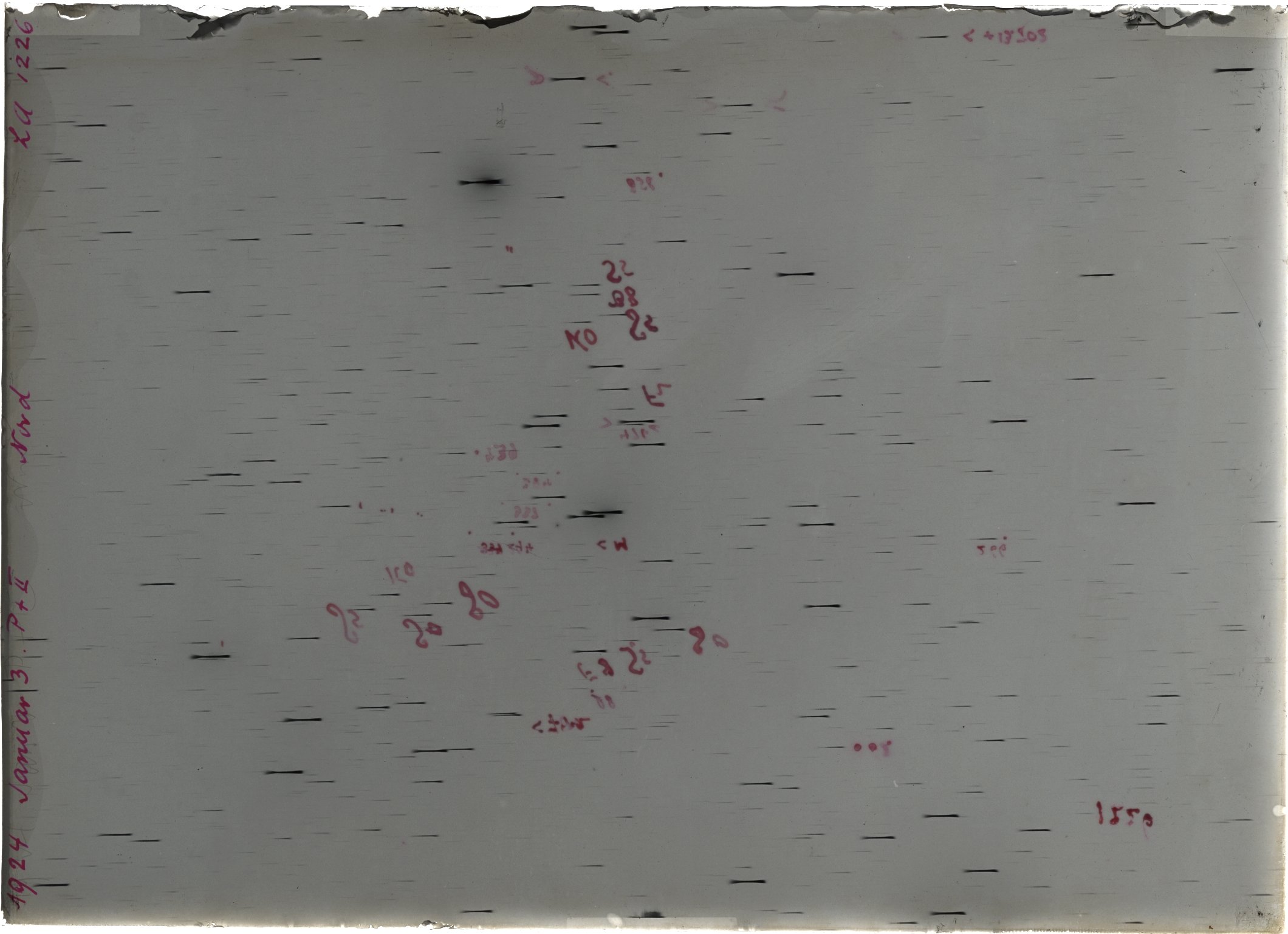 Scan LA01226