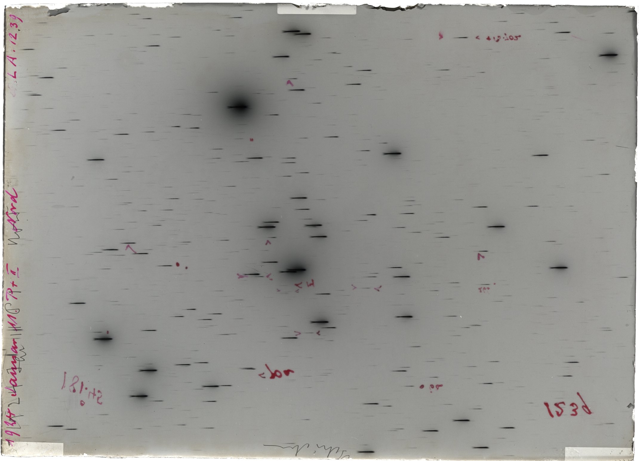 Scan LA01239
