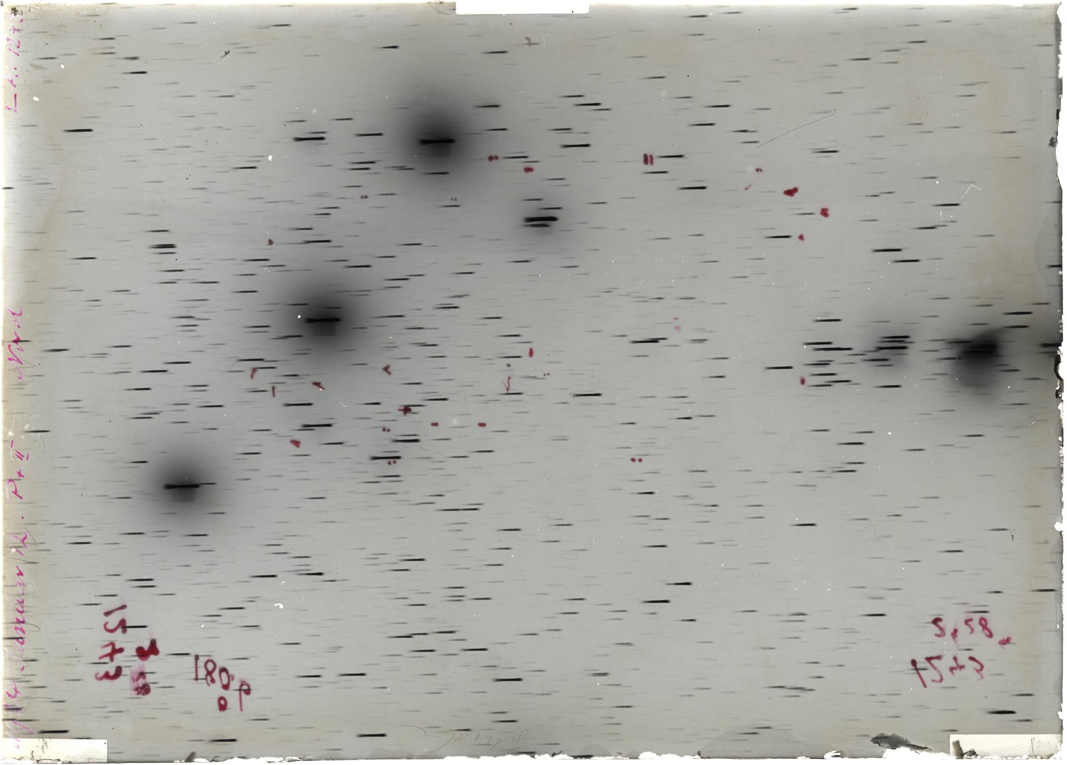 Scan LA01243