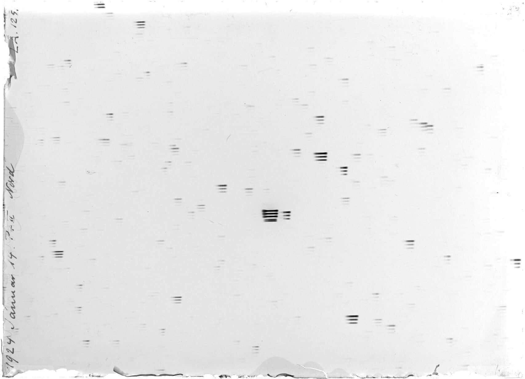 Scan LA01251