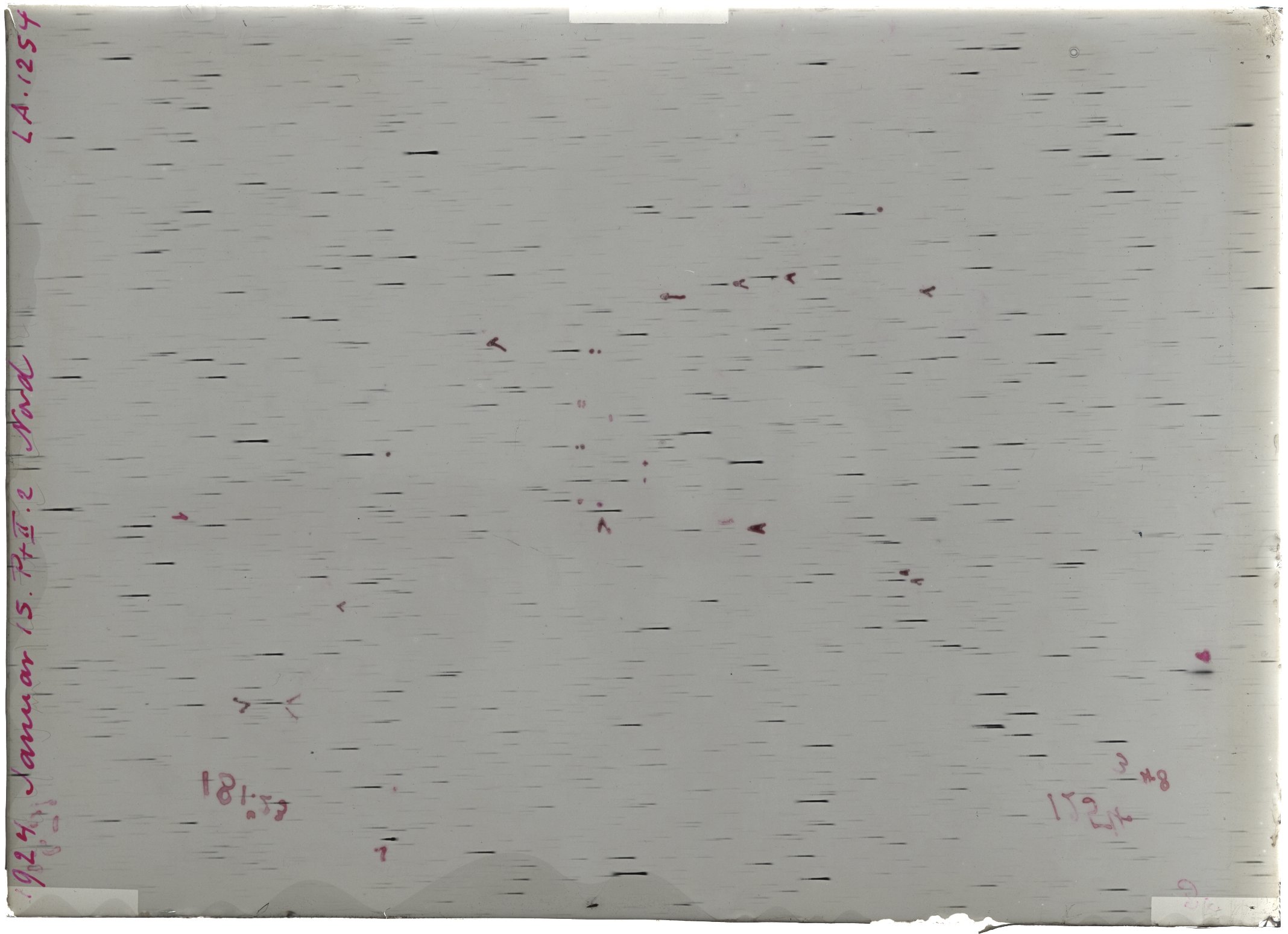 Scan LA01254
