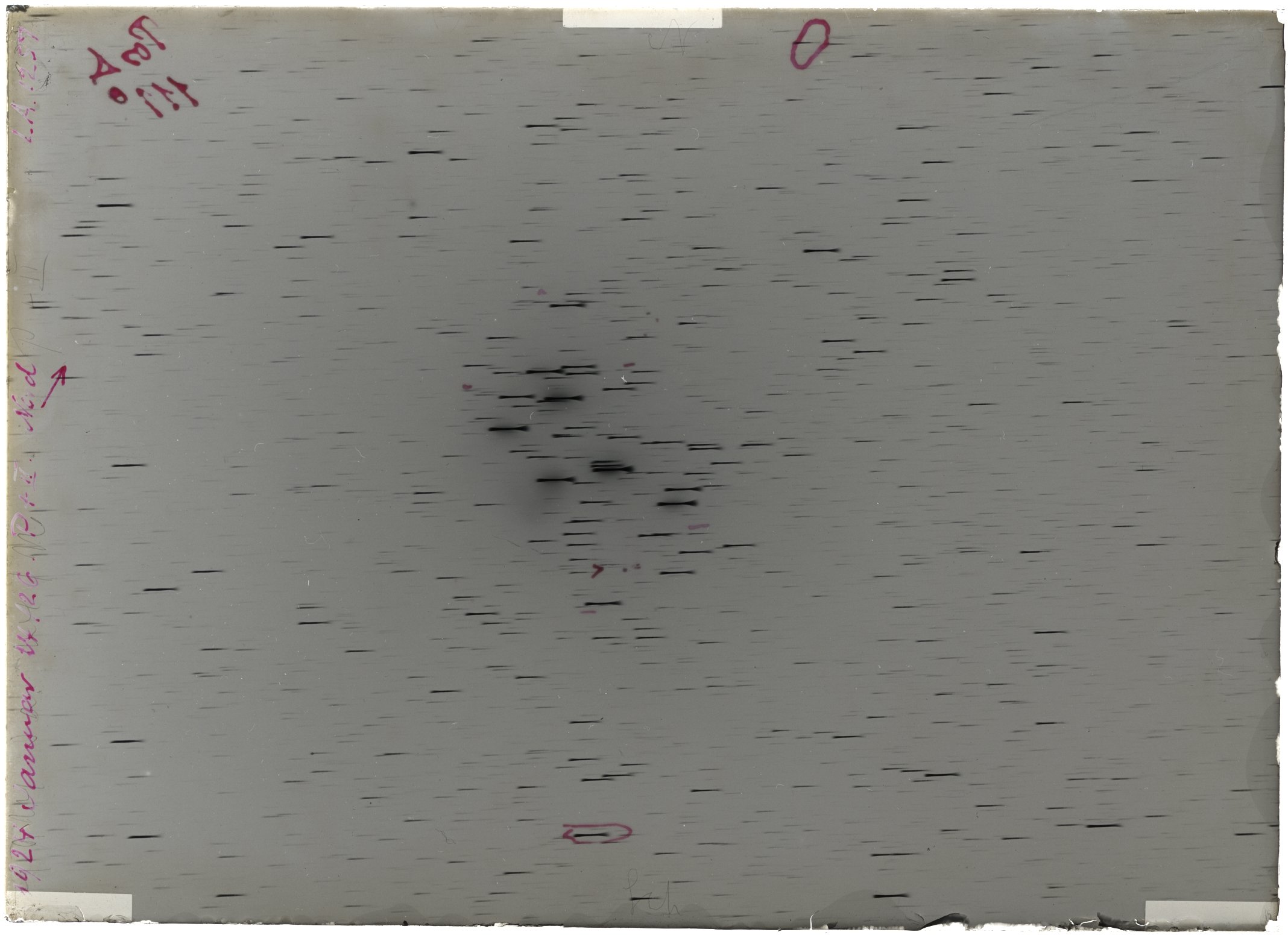 Scan LA01257