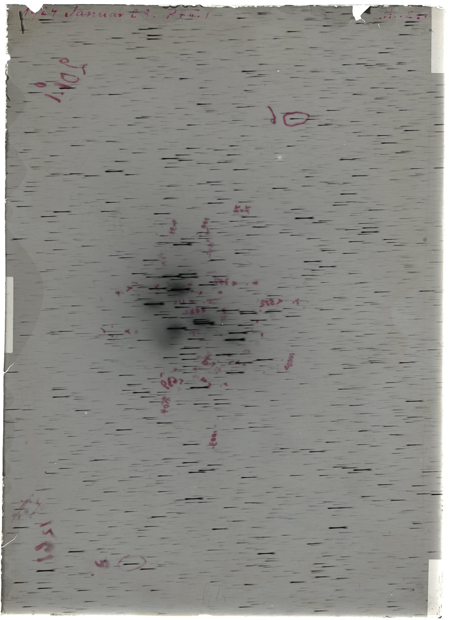 Scan LA01261
