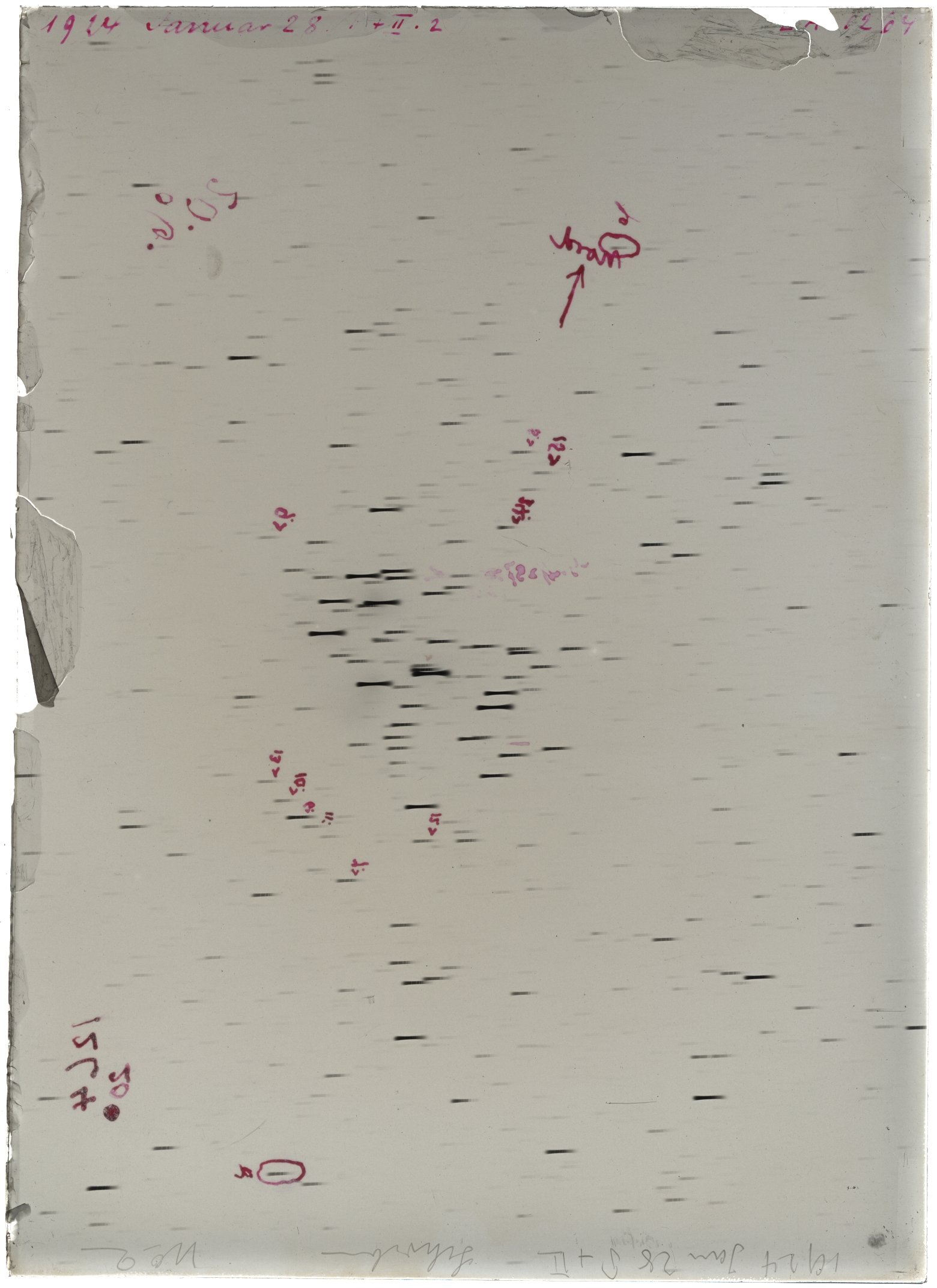 Scan LA01264