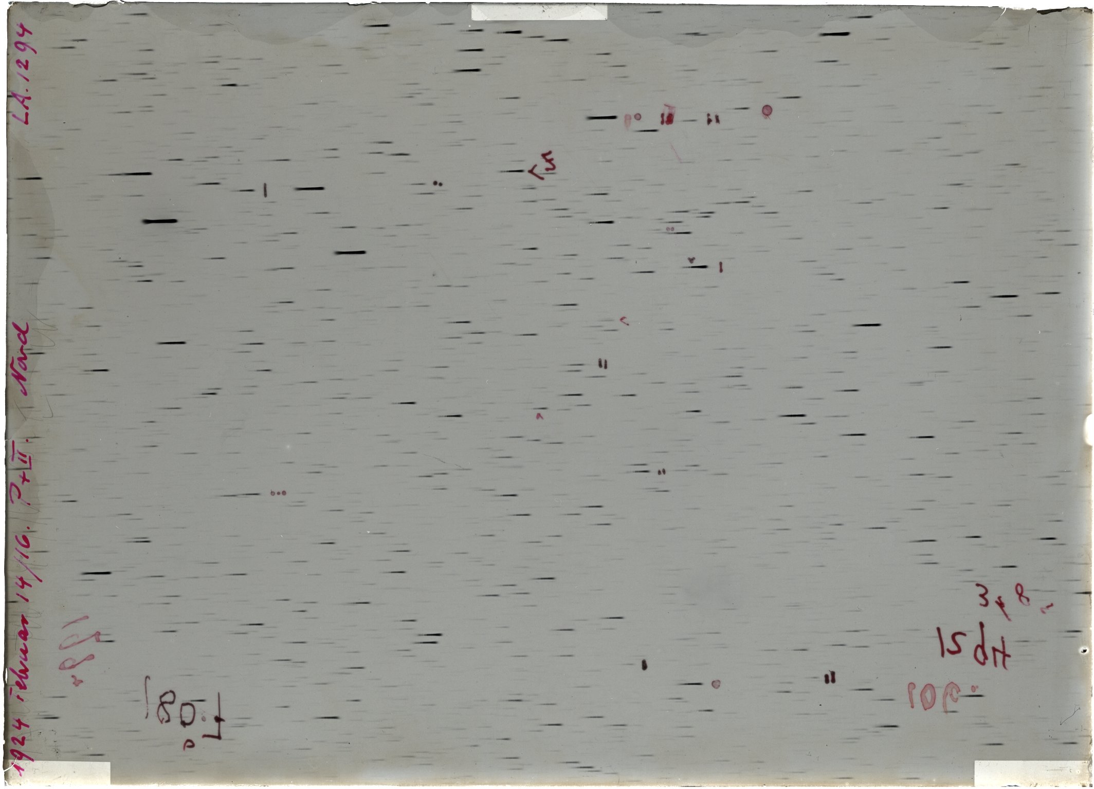 Scan LA01294