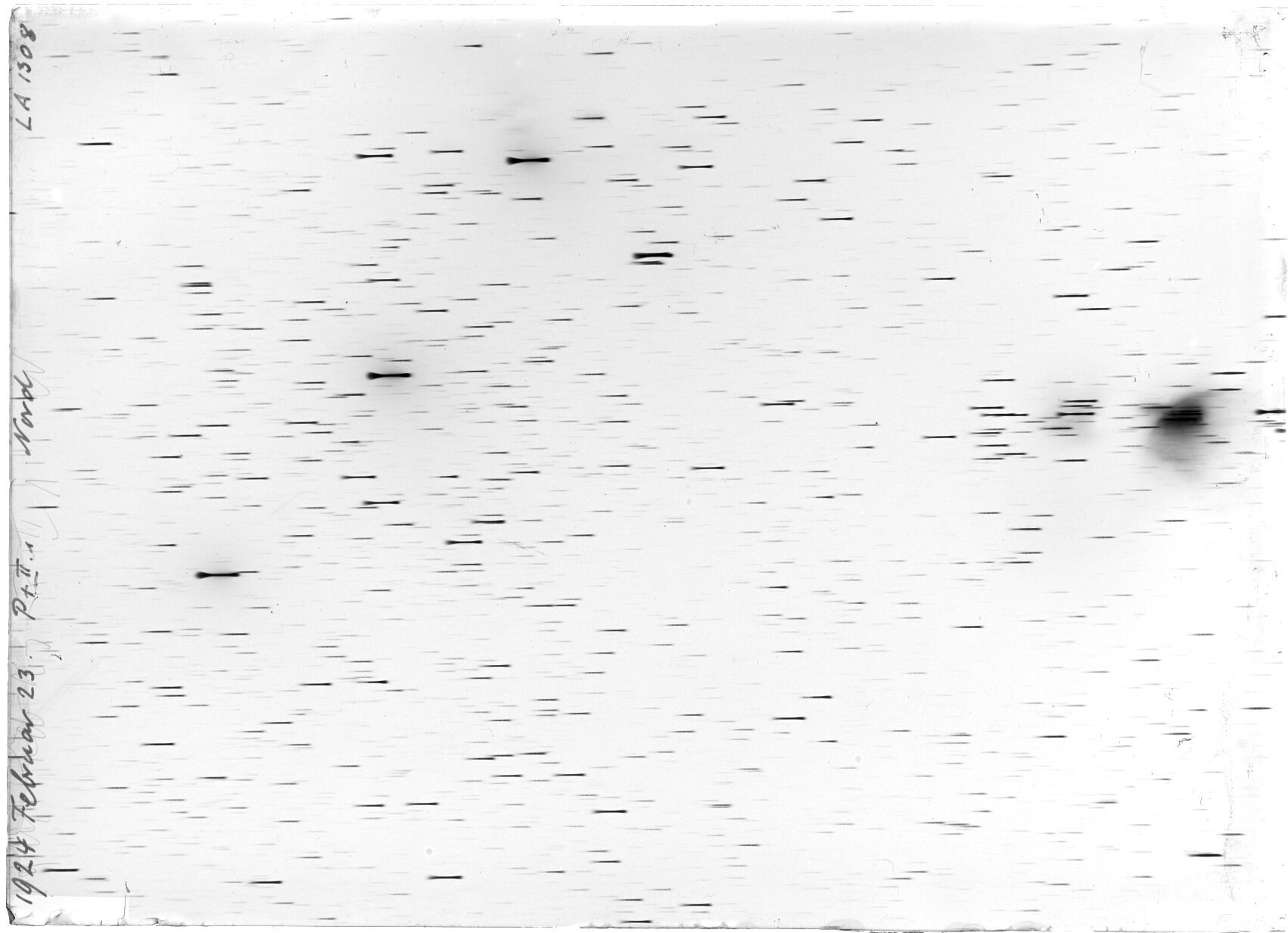 Scan LA01308