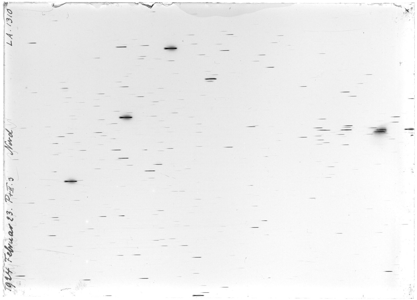 Scan LA01310
