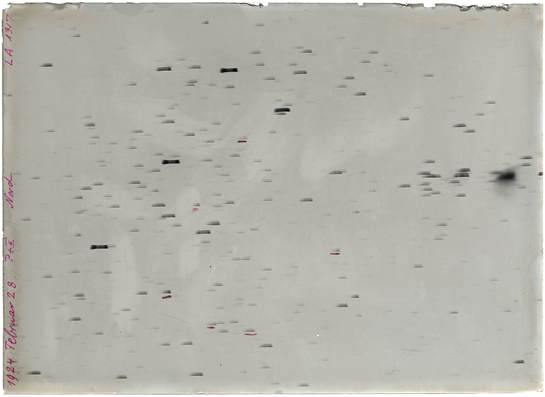Scan LA01317