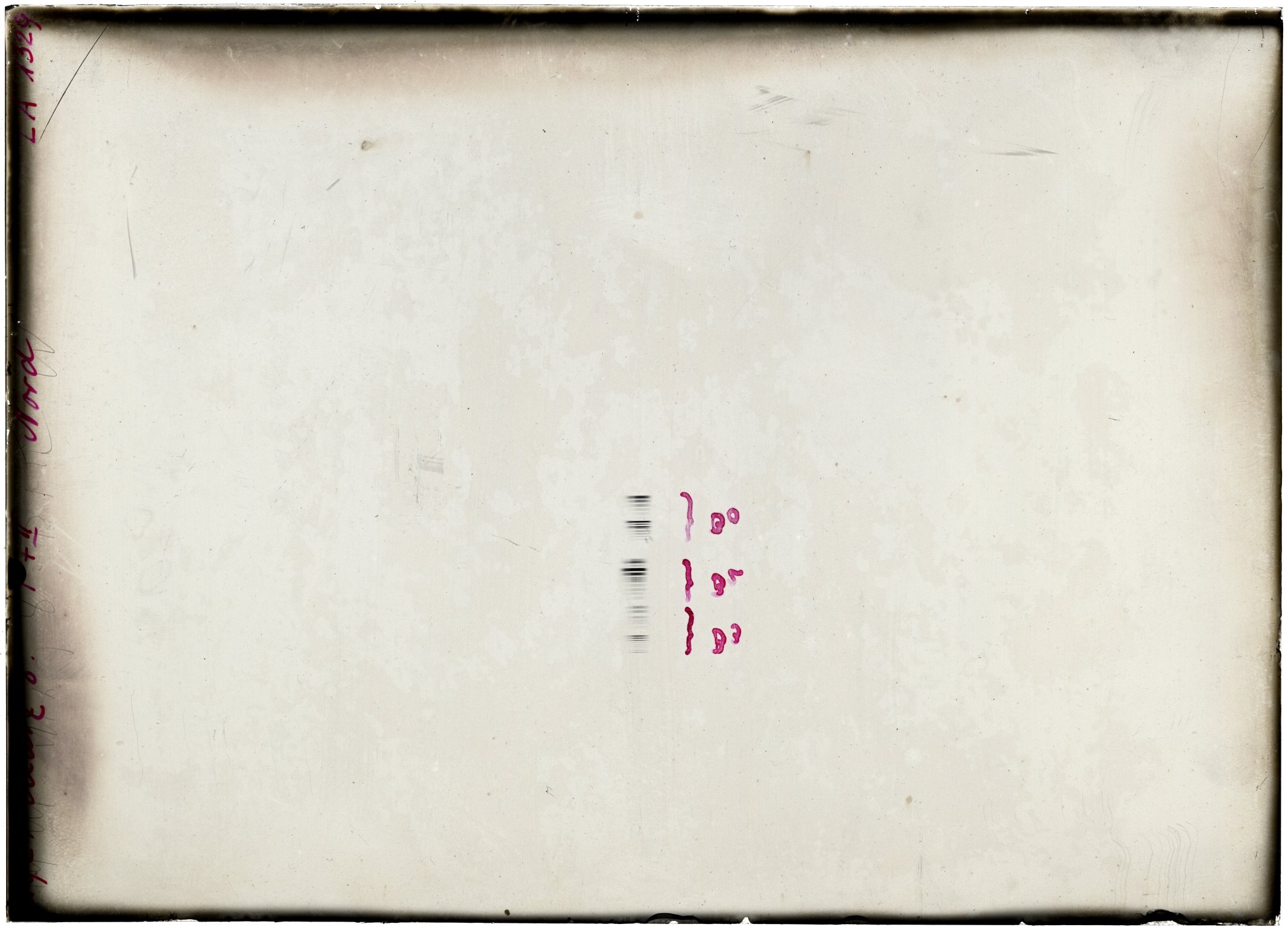Scan LA01329