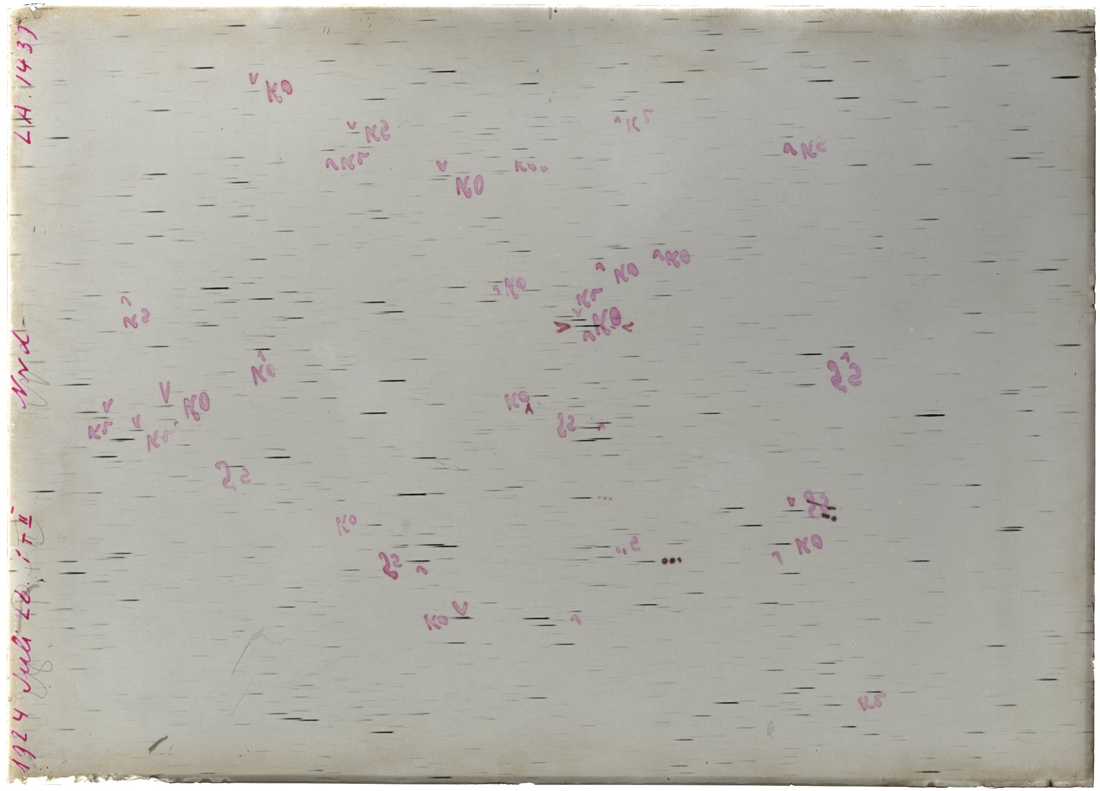 Scan LA01439