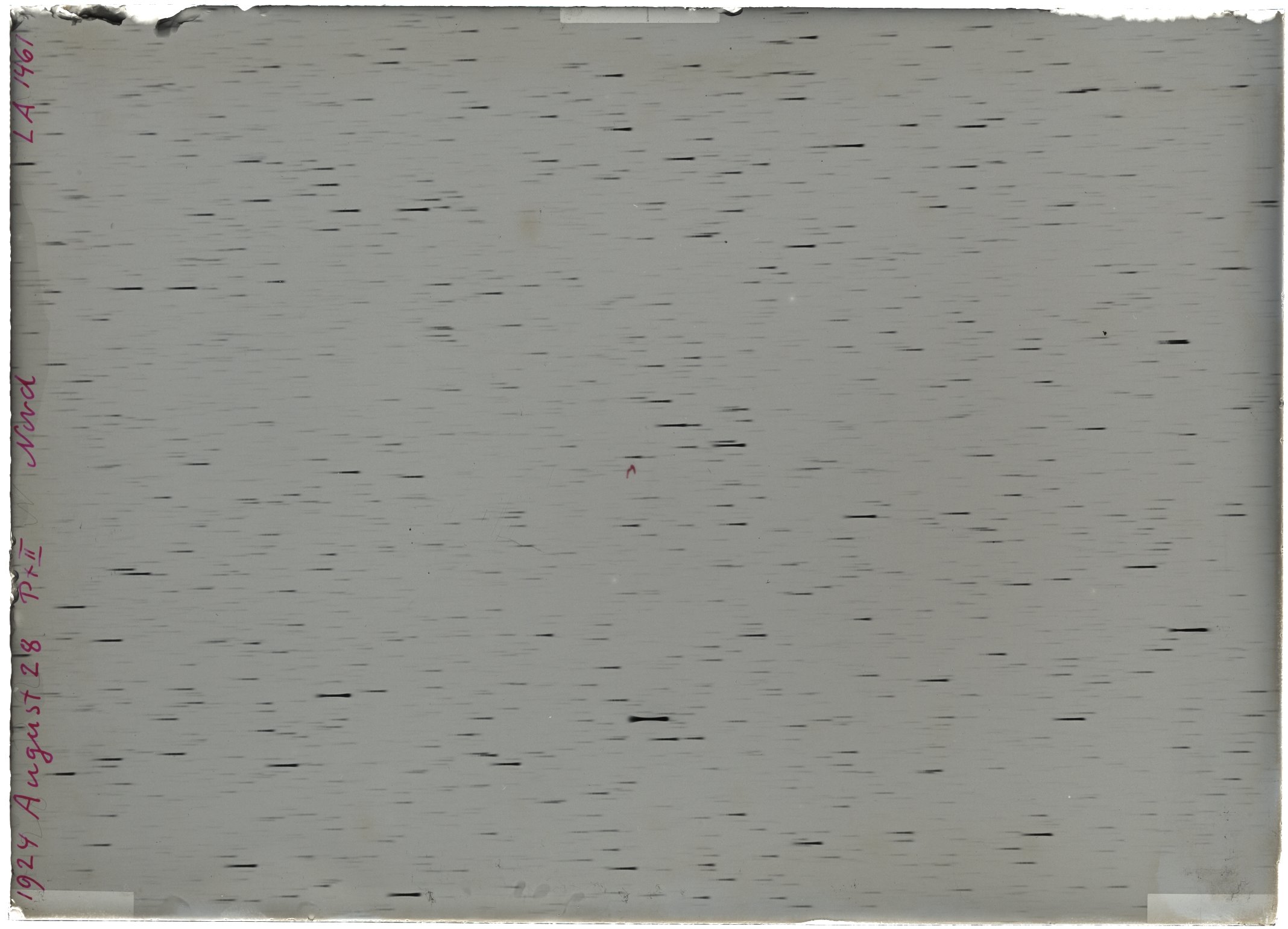 Scan LA01461