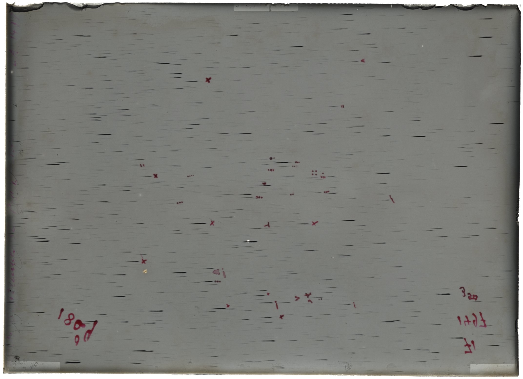 Scan LA01497