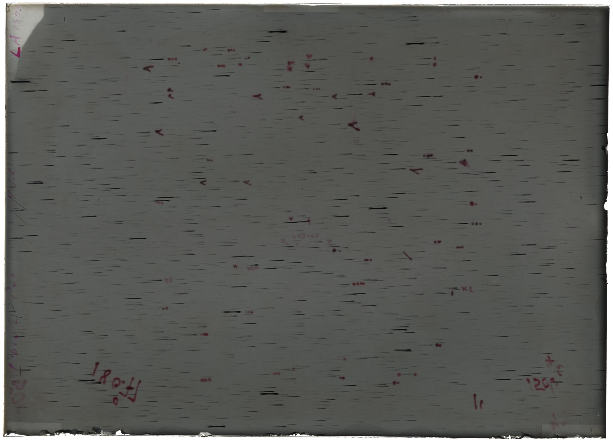 Scan LA01506