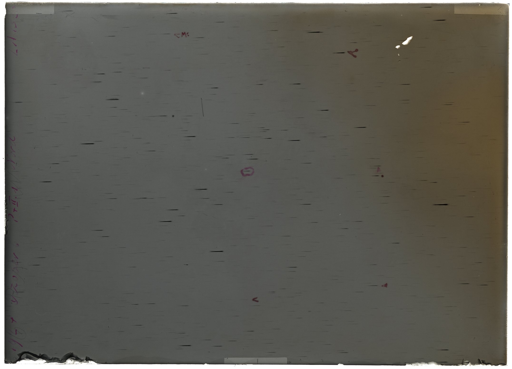 Scan LA01520