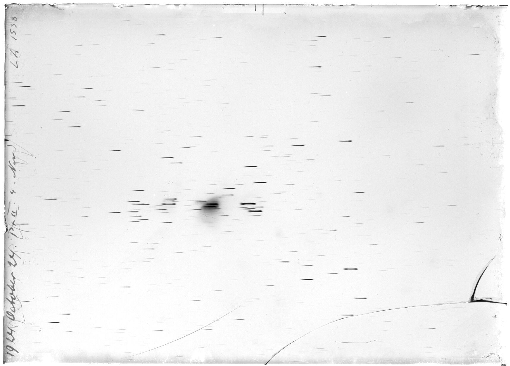 Scan LA01538