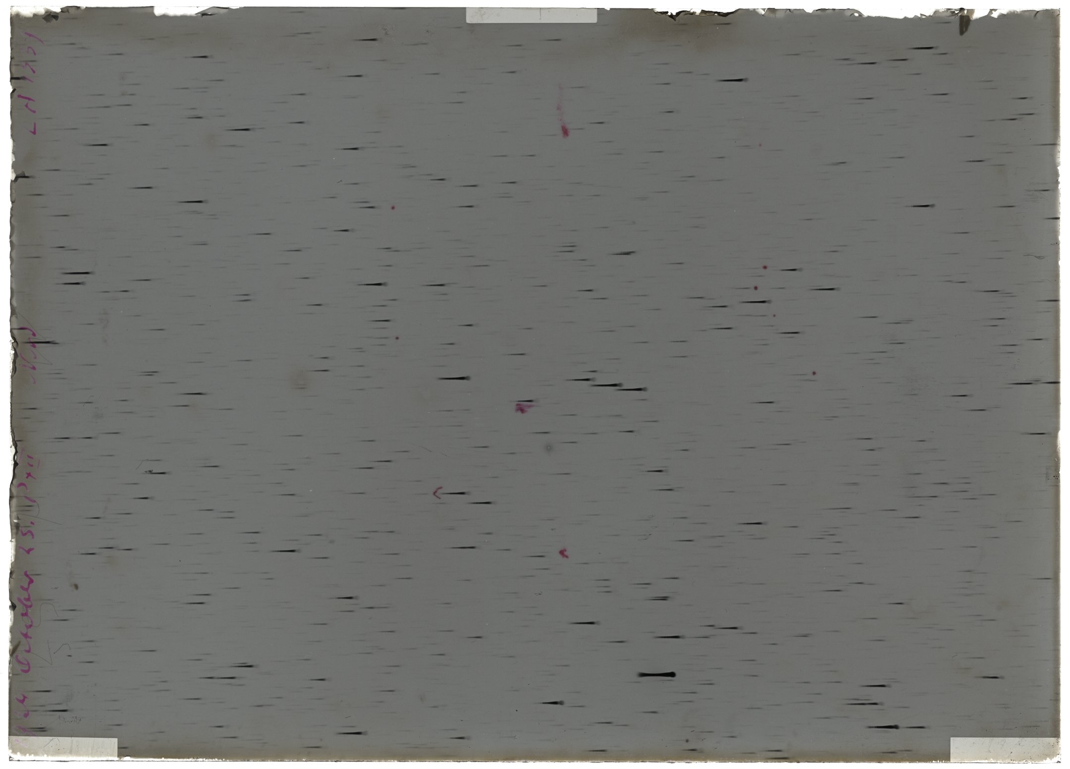 Scan LA01539
