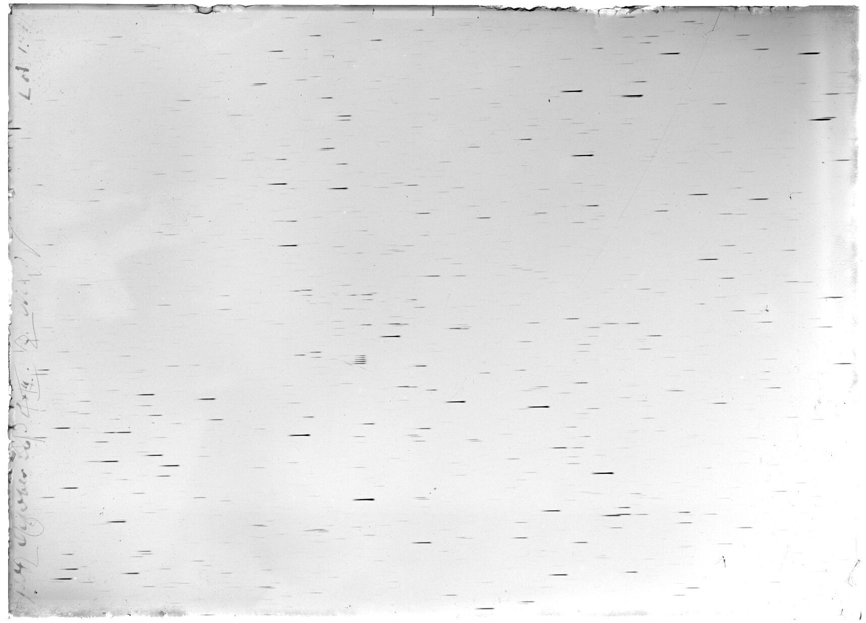 Scan LA01544