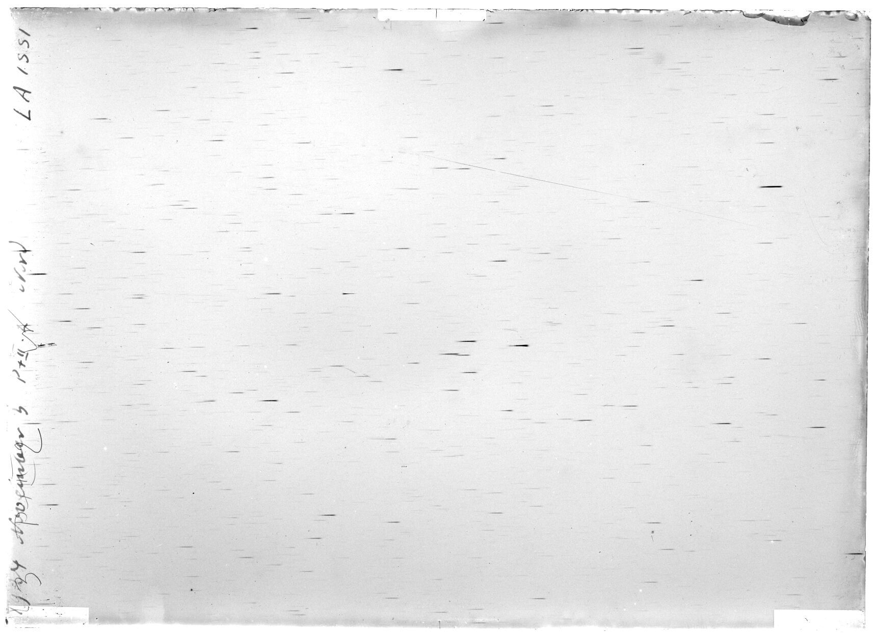 Scan LA01551