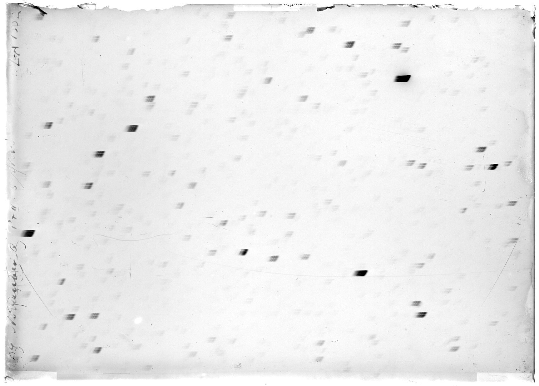 Scan LA01552