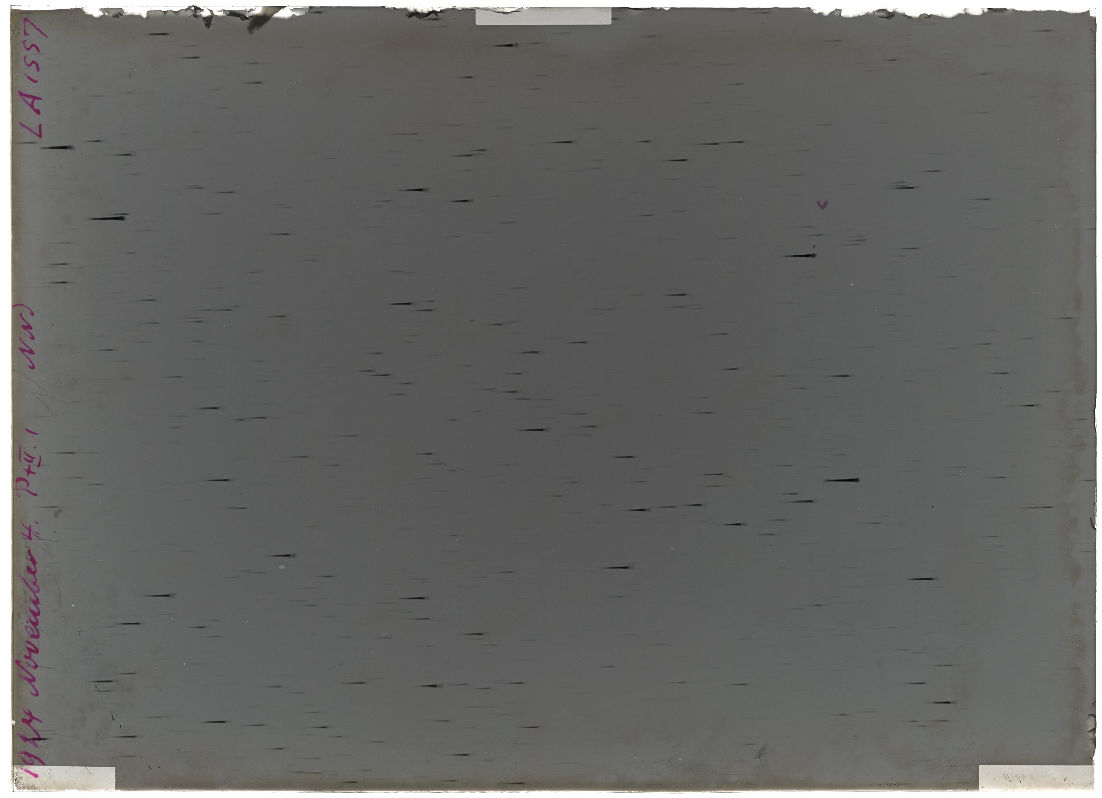 Scan LA01557