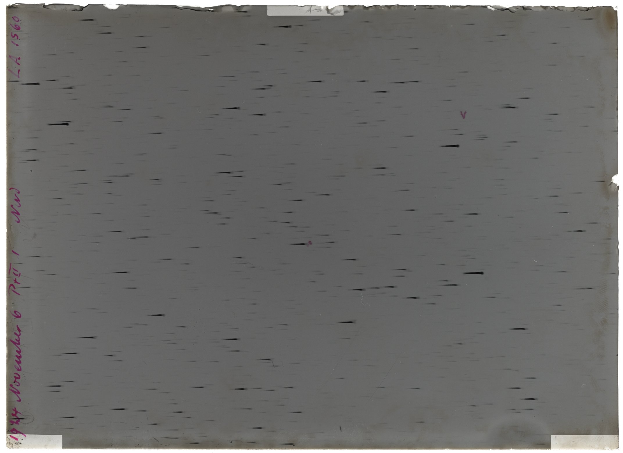 Scan LA01560
