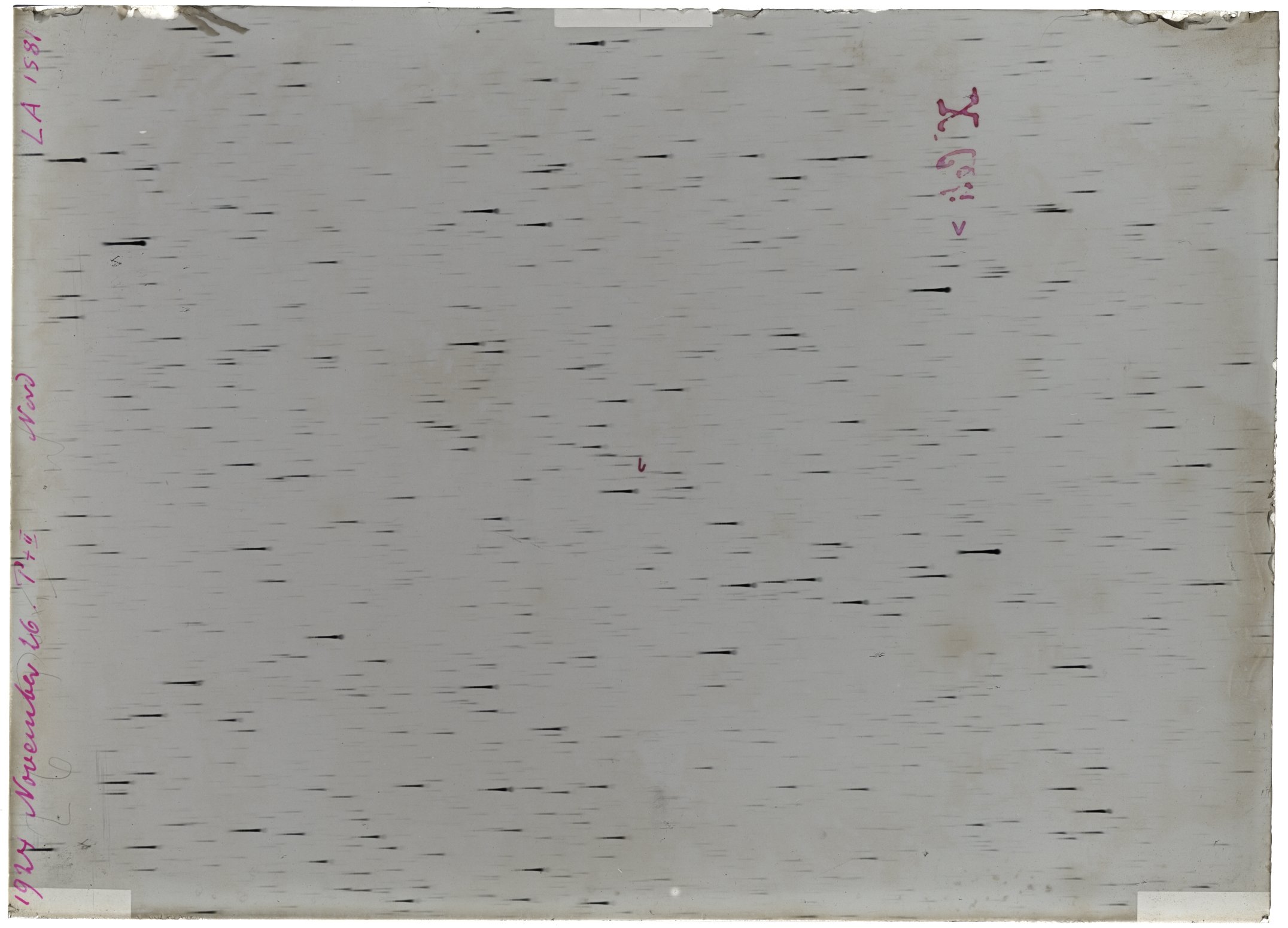 Scan LA01581