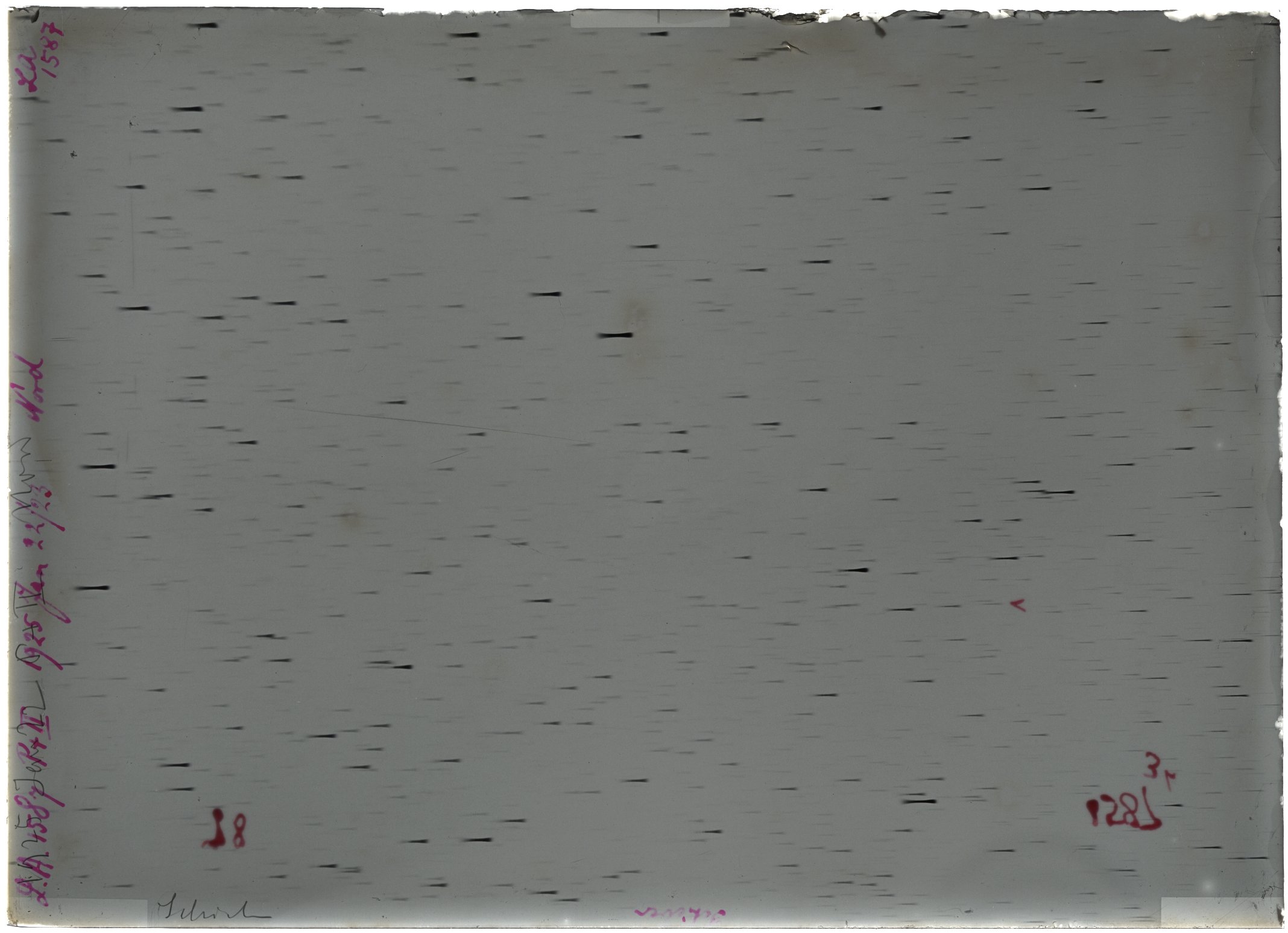Scan LA01587