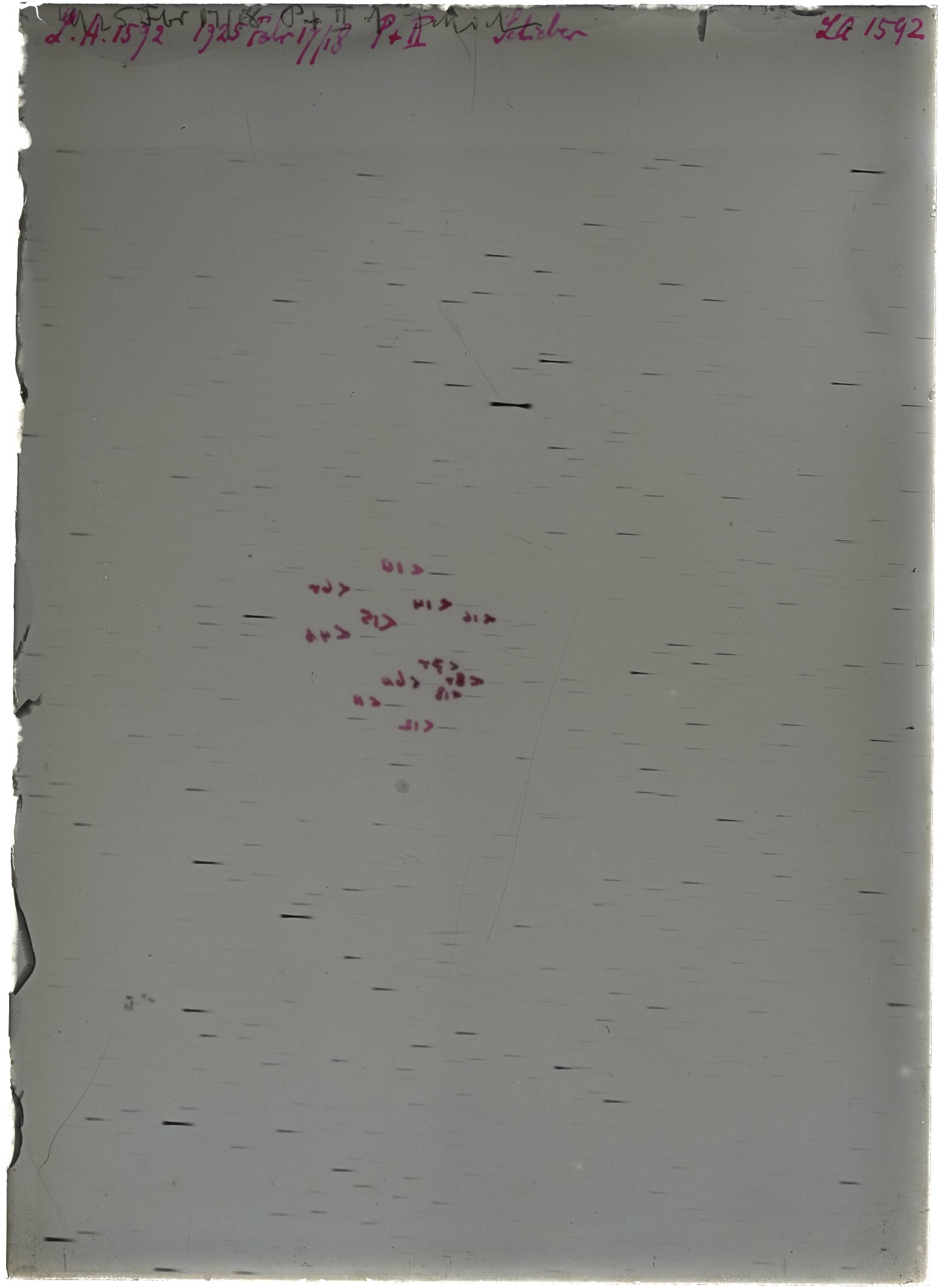 Scan LA01592