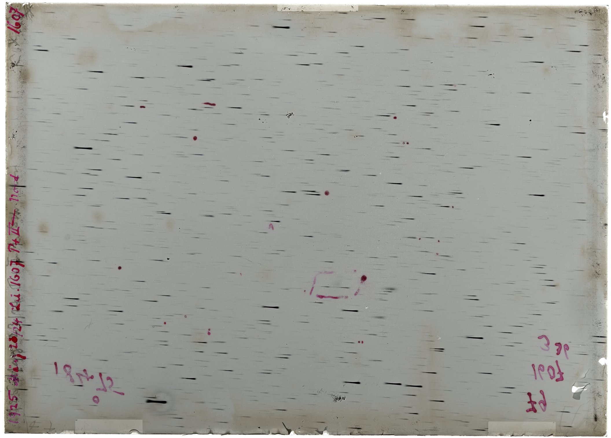 Scan LA01607