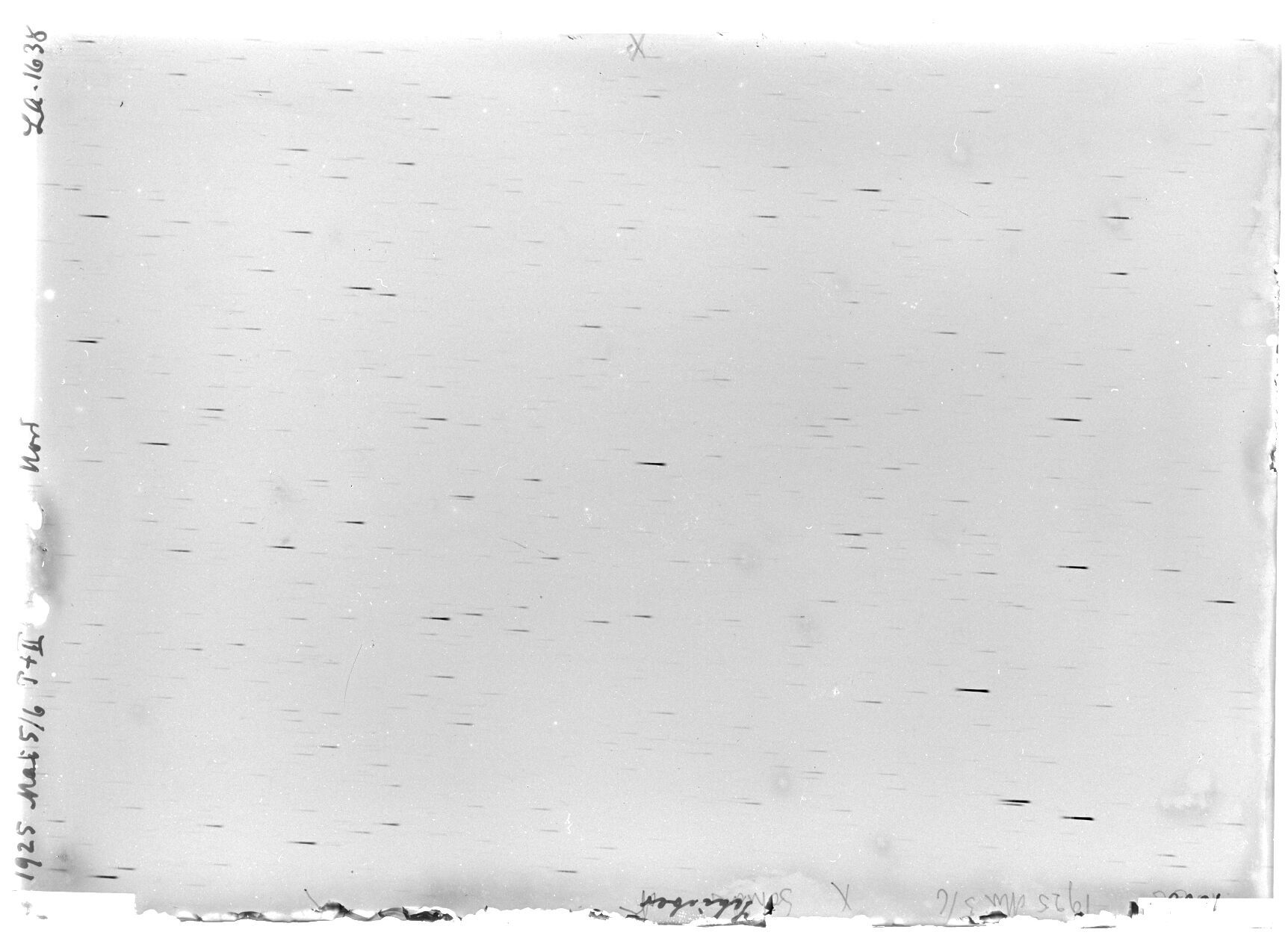 Scan LA01638