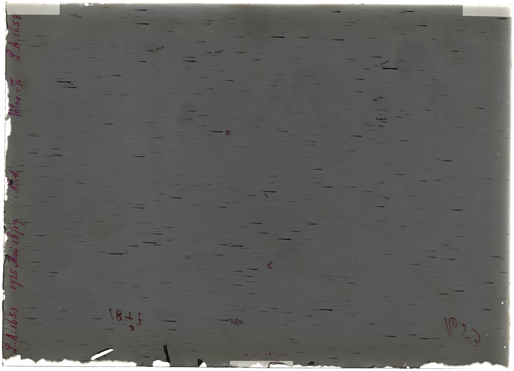 Scan LA01653