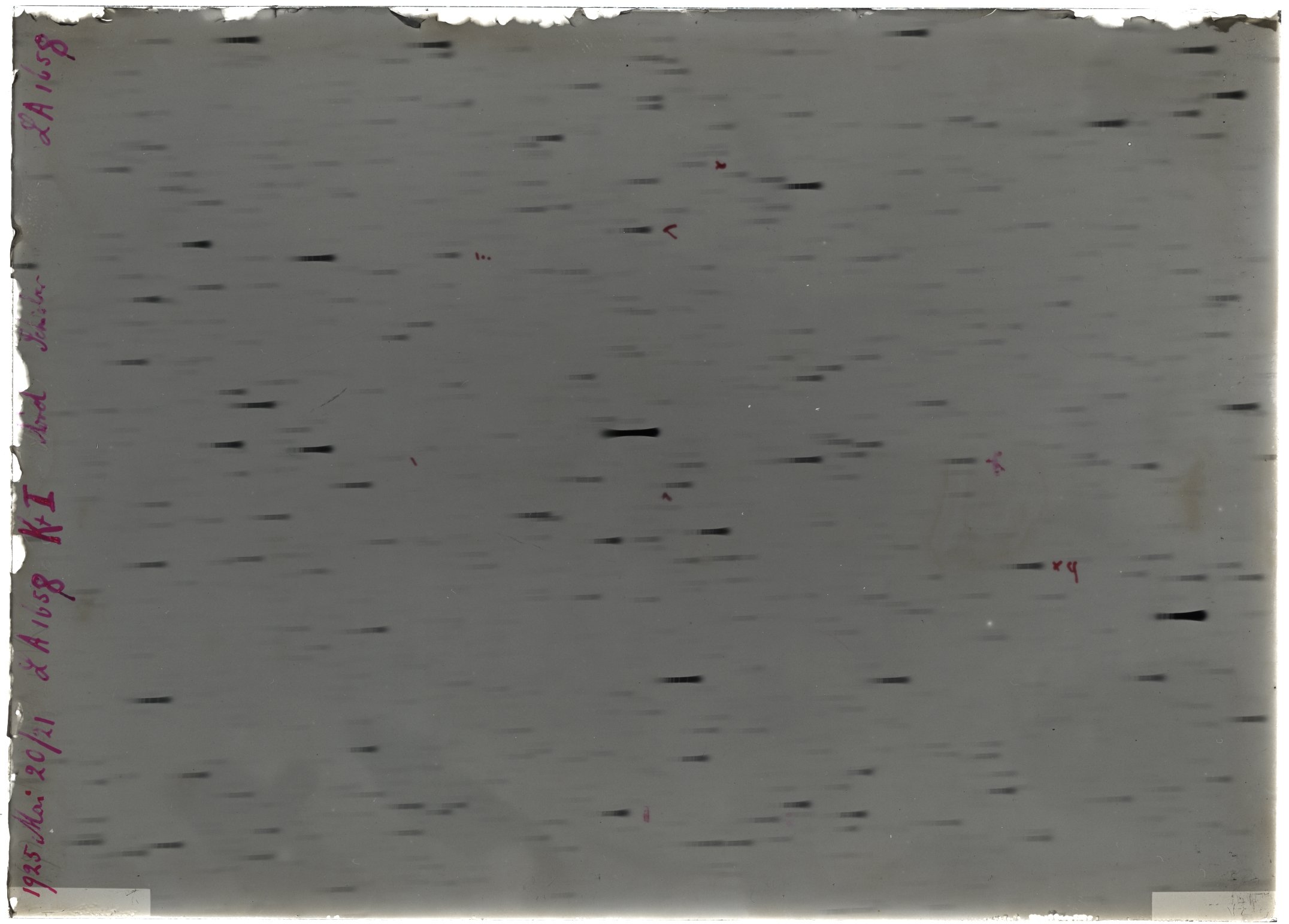 Scan LA01658