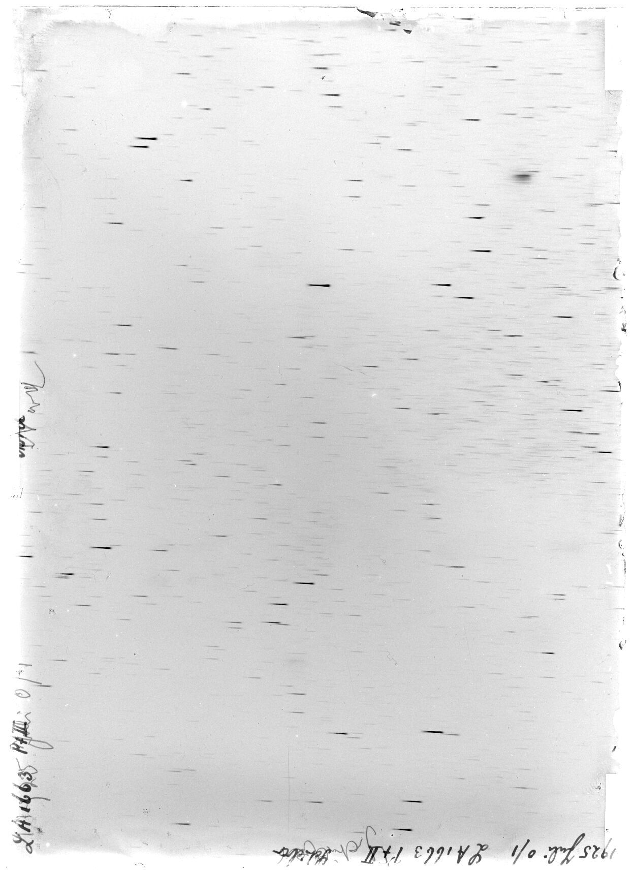 Scan LA01663