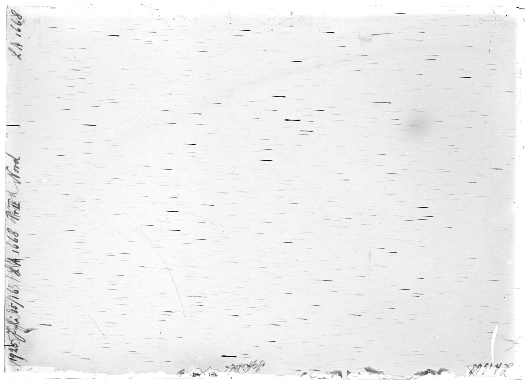 Scan LA01668