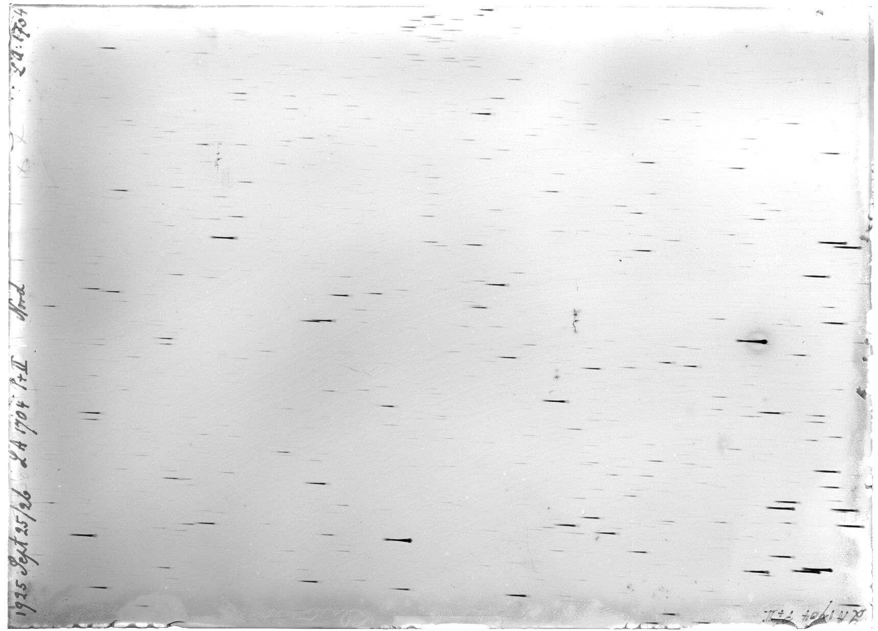 Scan LA01704