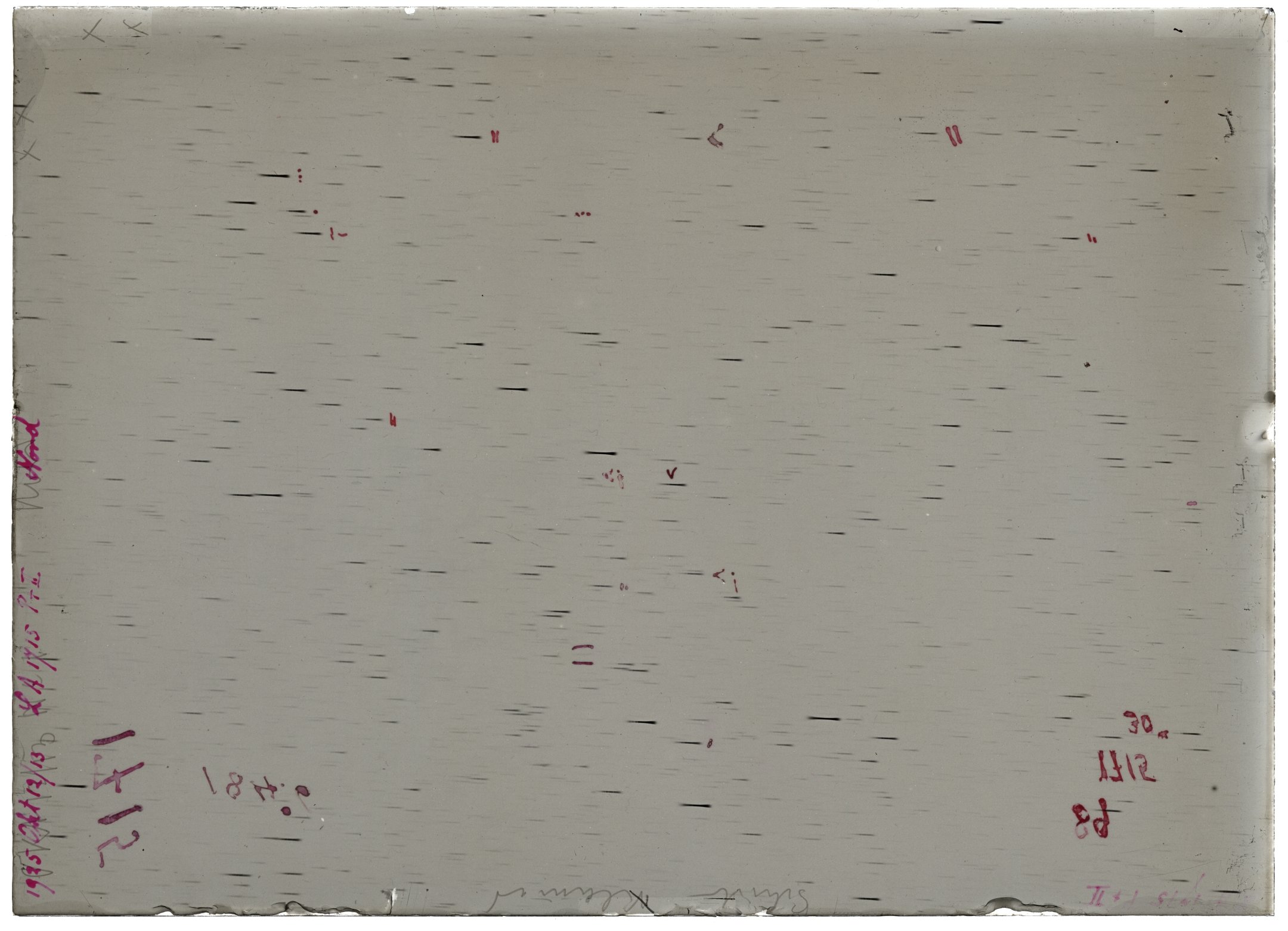 Scan LA01715