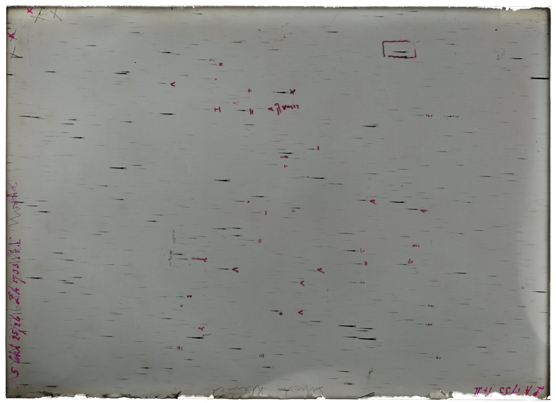 Scan LA01733
