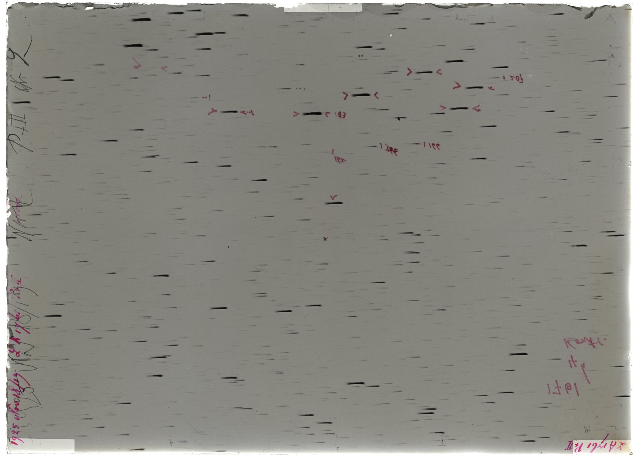 Scan LA01761