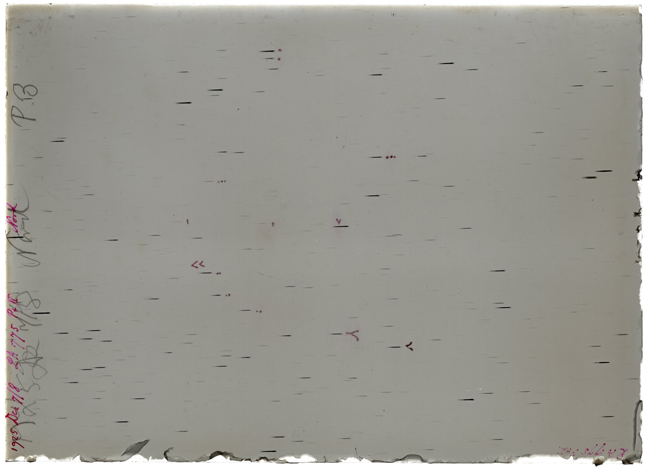 Scan LA01775