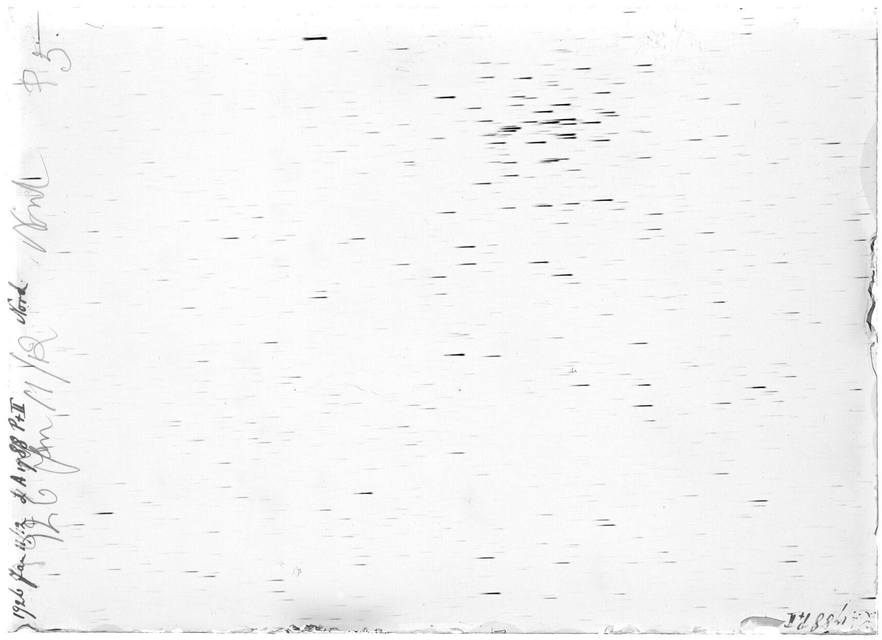 Scan LA01788