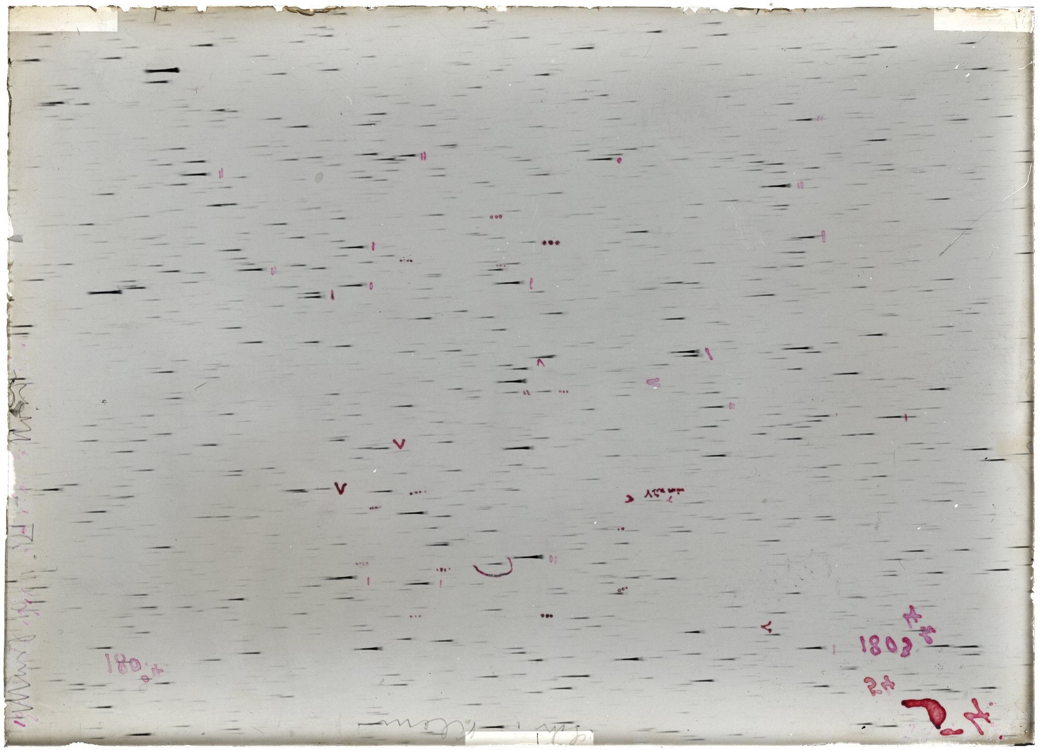 Scan LA01803