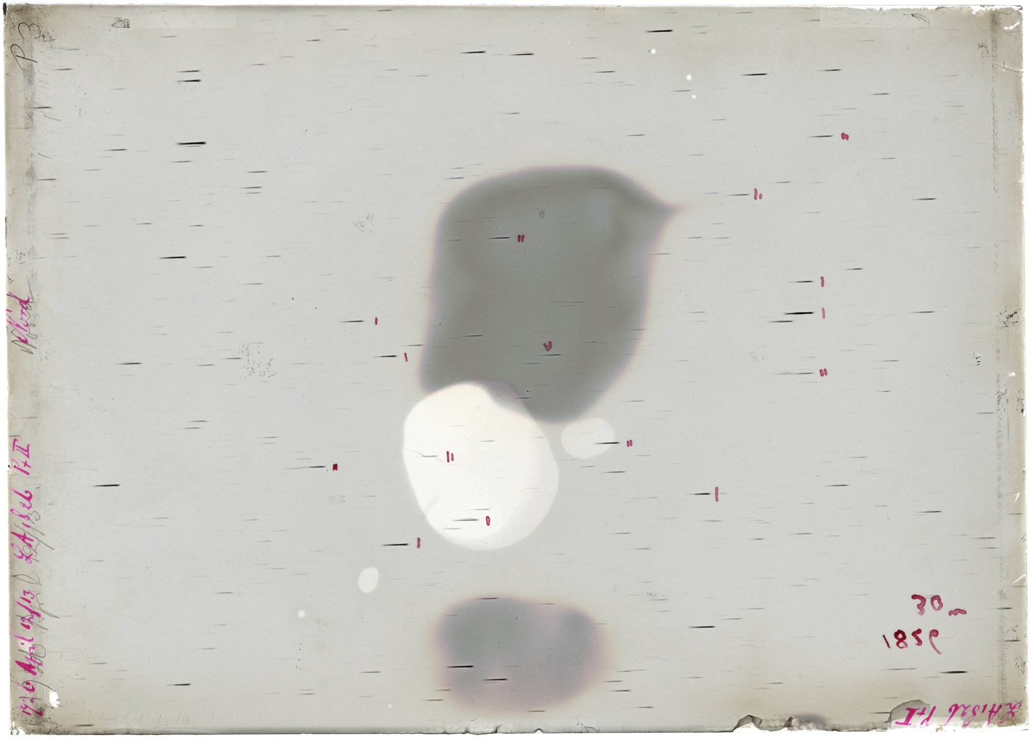 Scan LA01826