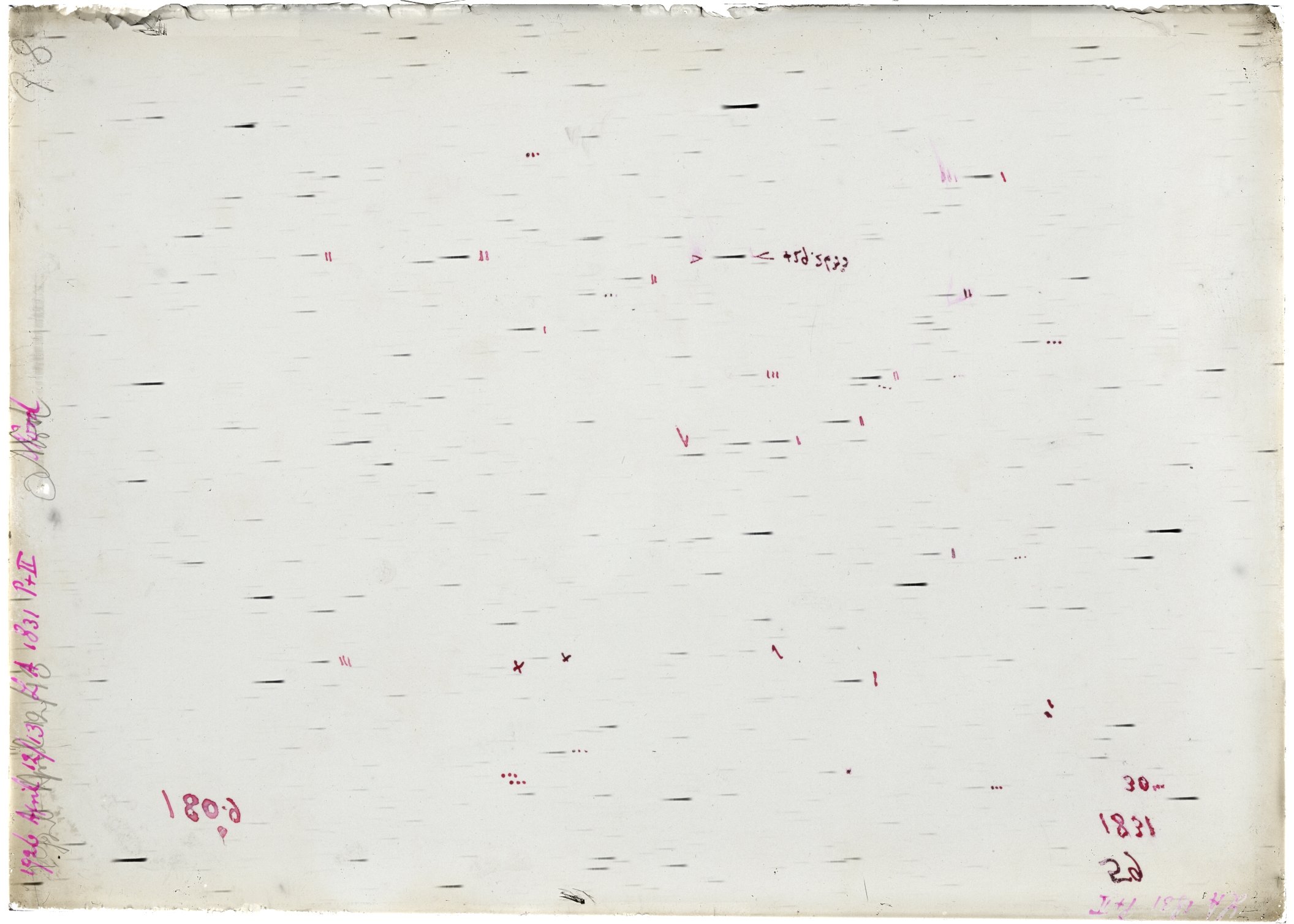 Scan LA01831