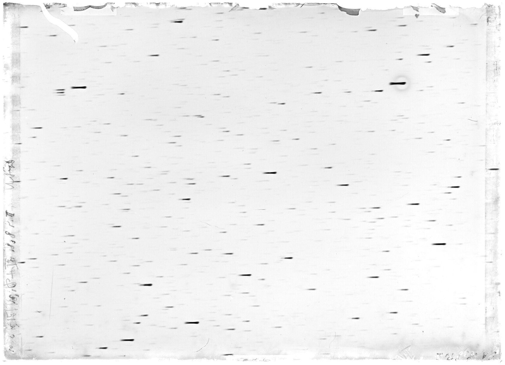 Scan LA01838