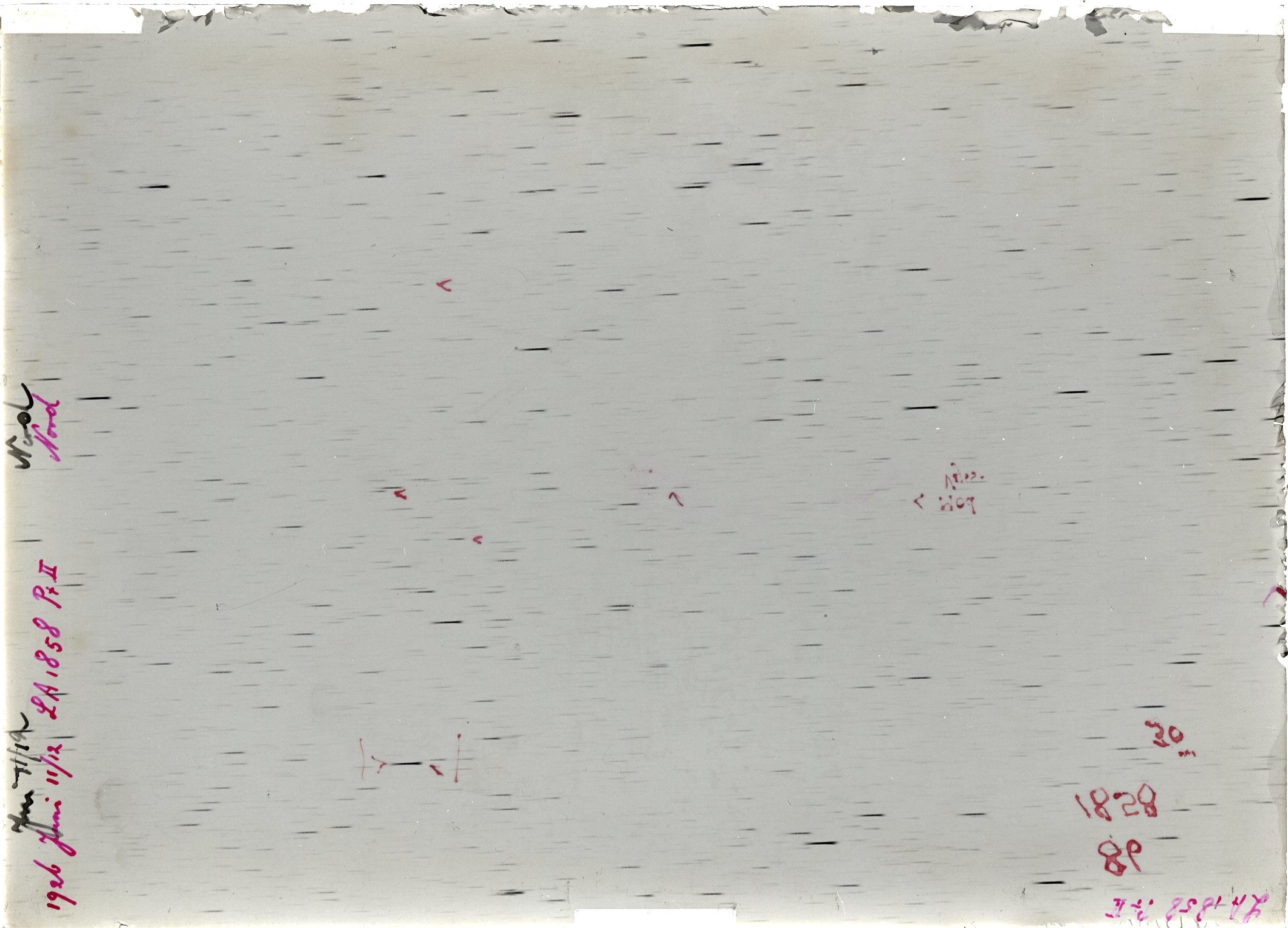 Scan LA01858