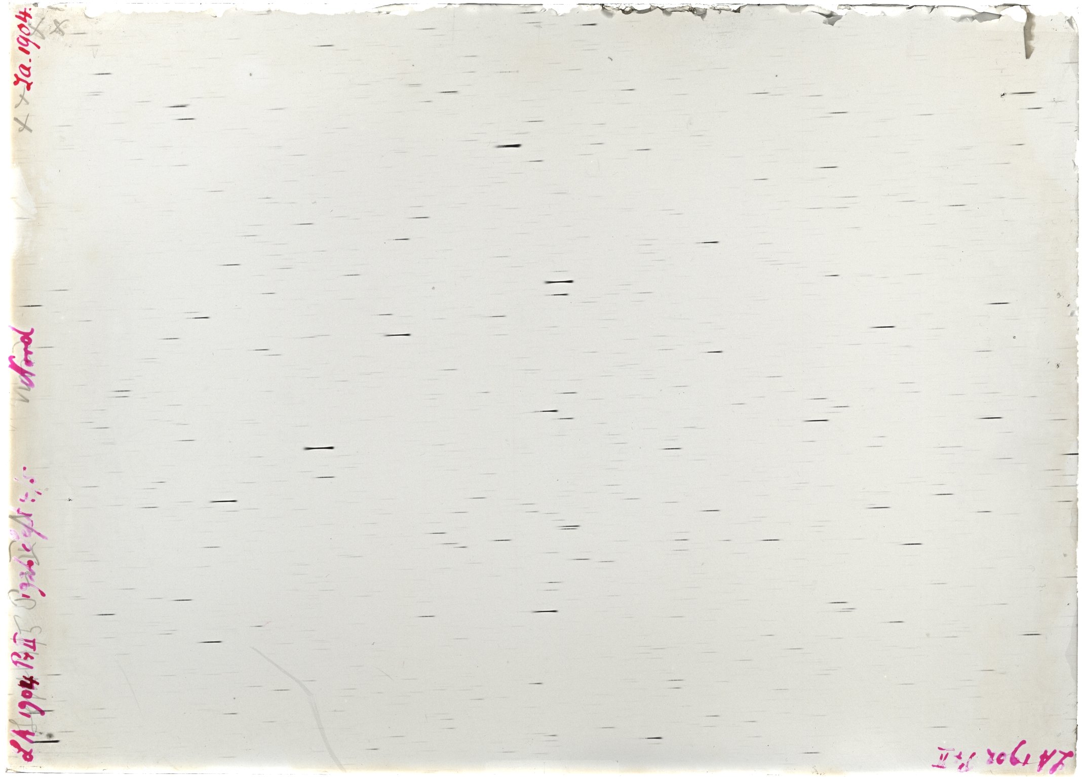 Scan LA01904
