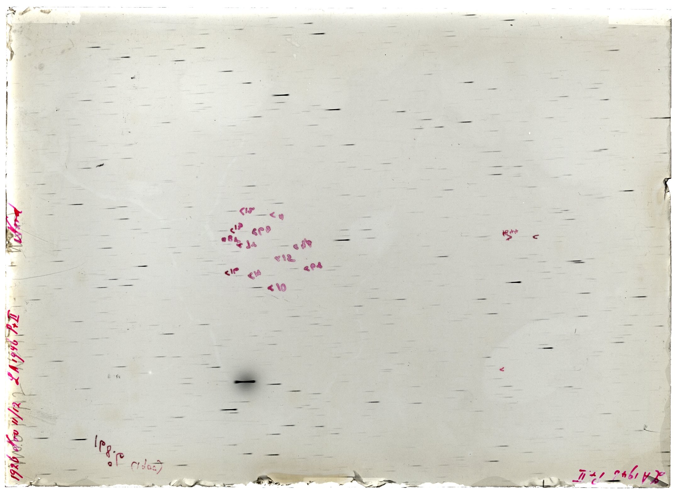 Scan LA01946