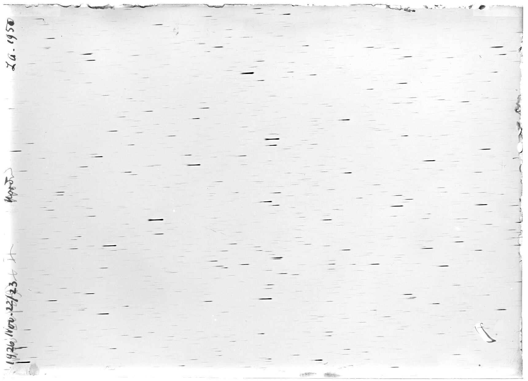 Scan LA01950