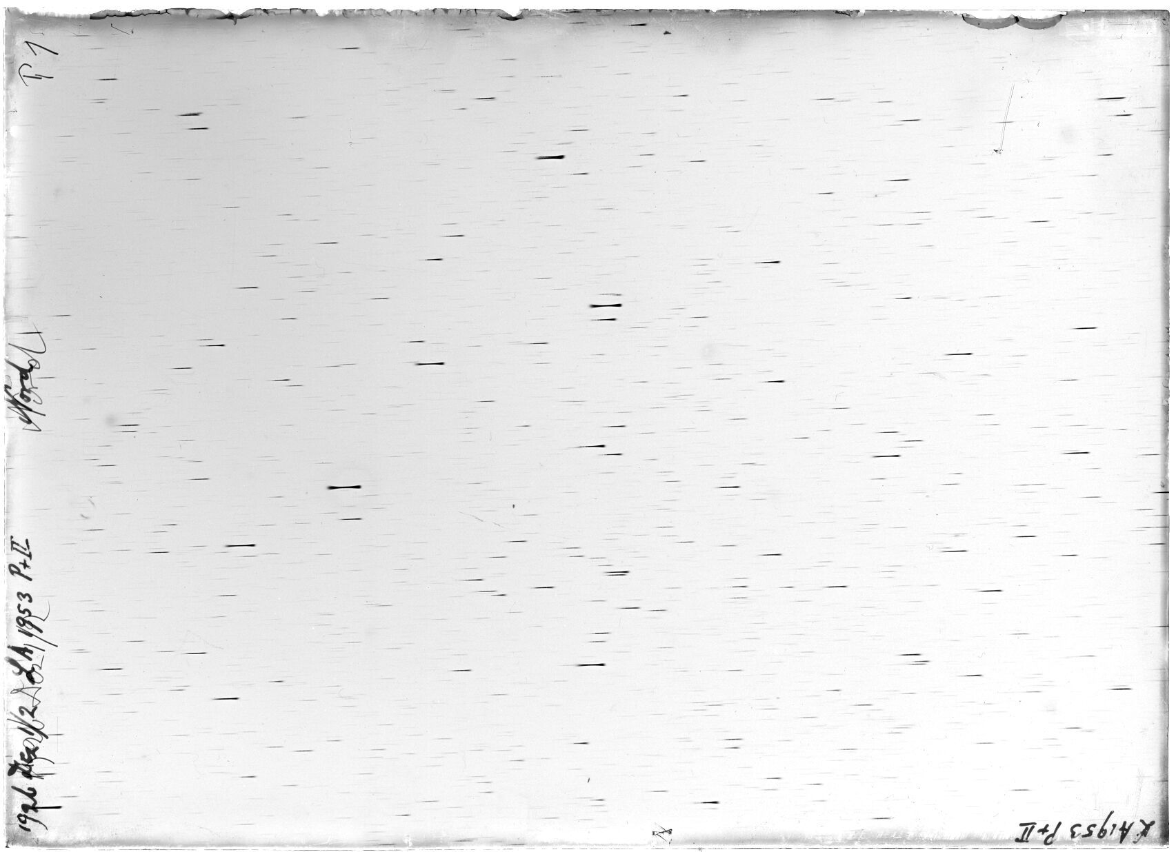 Scan LA01953